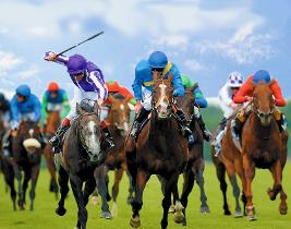 Race Night Hire, Race Nights, Football Team Race Nights, Book A Race Night, Racenigh Fundraising,